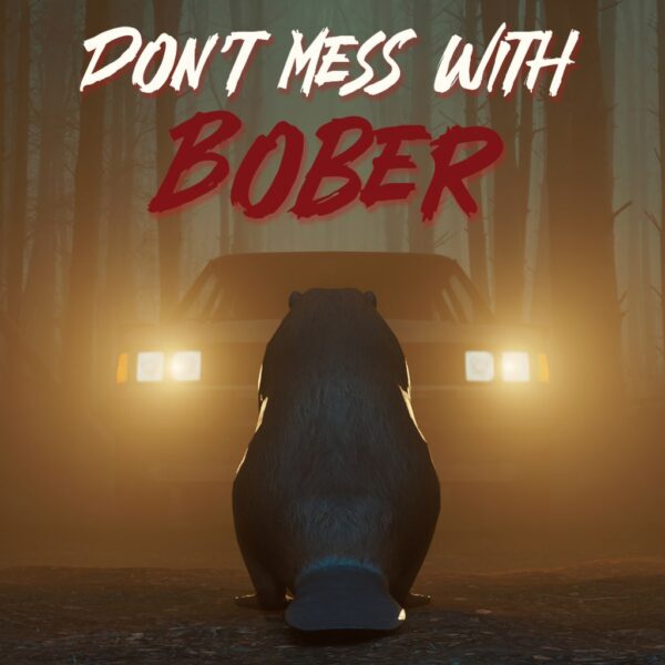 Don't Mess With Bober