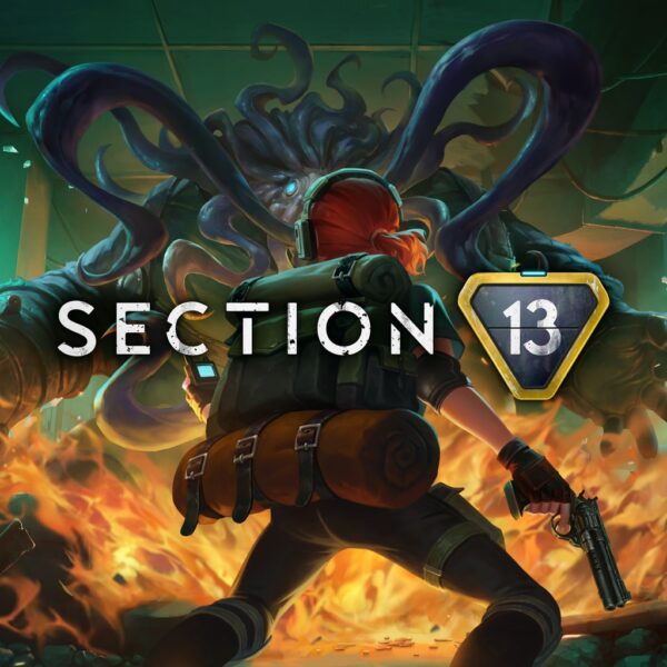Section 13