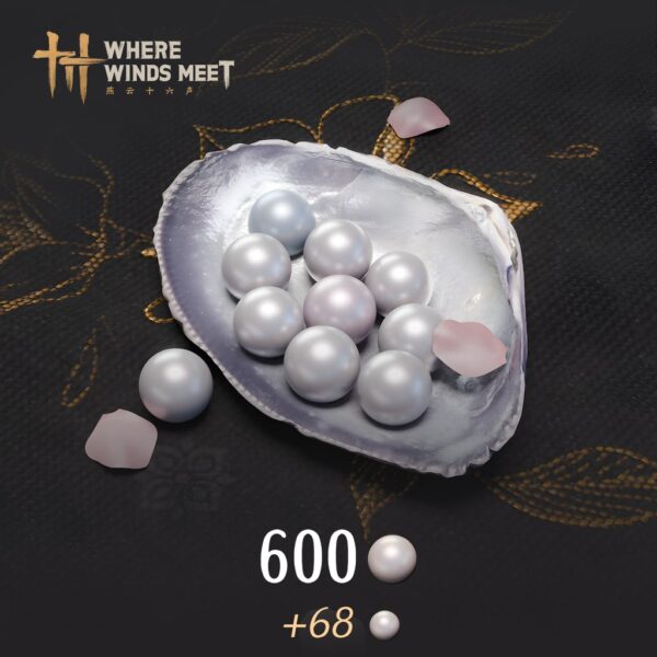 Where Winds Meet - 600 Echo Beads